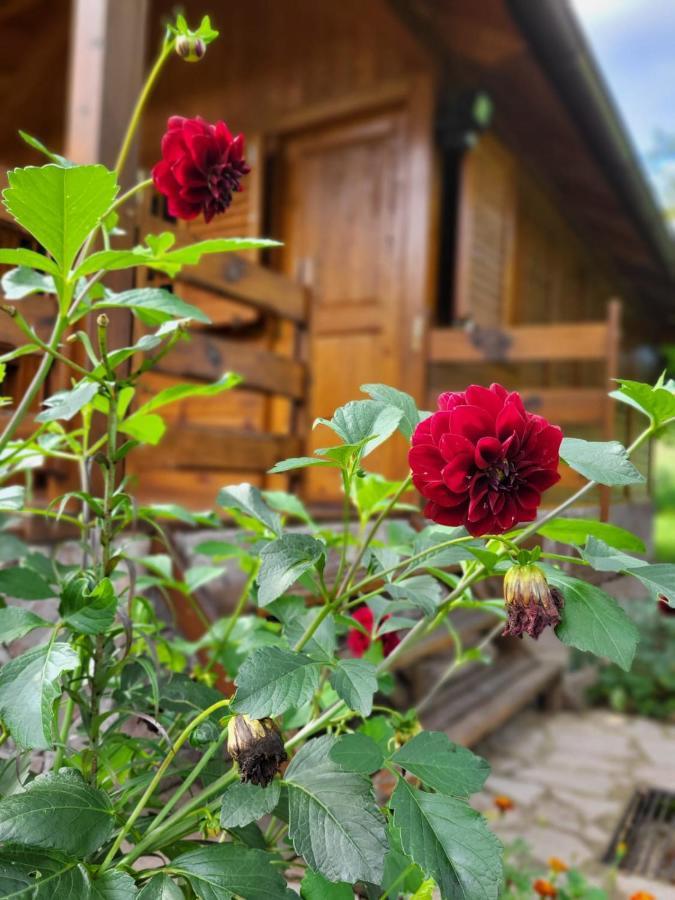 Rest House Ripac Prascijak 外观 照片